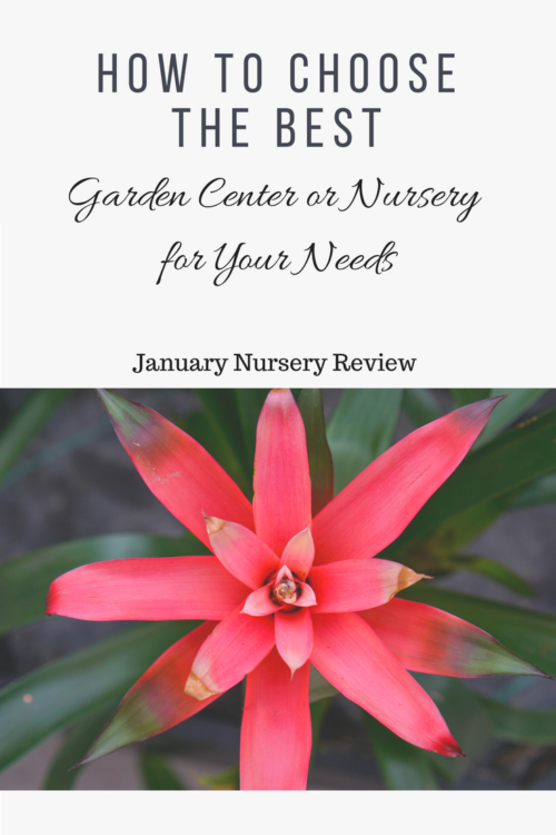 How to choose the best garden center or nursery for your needs.