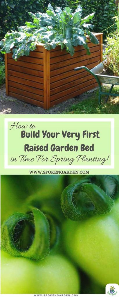 A cedar raised garden bed and homegrown tomatoes with text overlay in Spoken Garden's advertisement