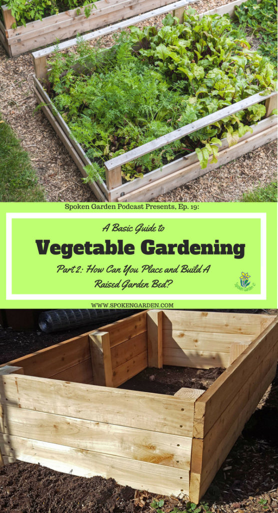 Basic guide to veg gardening part 2