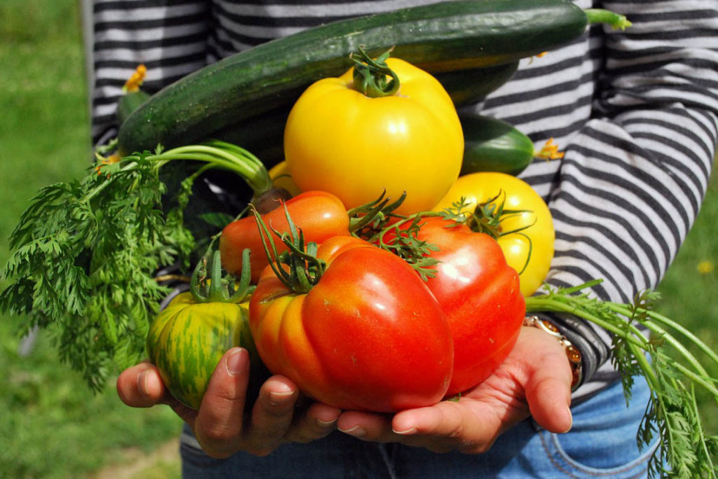 9 fruits and vegetables to plant now for a summer harvest- Spoken Garden