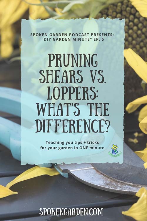 DIY garden minute 5 pruning shears vs. loppers