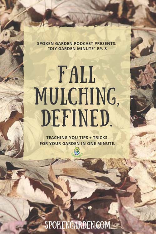 Fall leaves forming a layer of mulch as advertised on Spoken Garden's Fall Mulching, Defined podcast. 