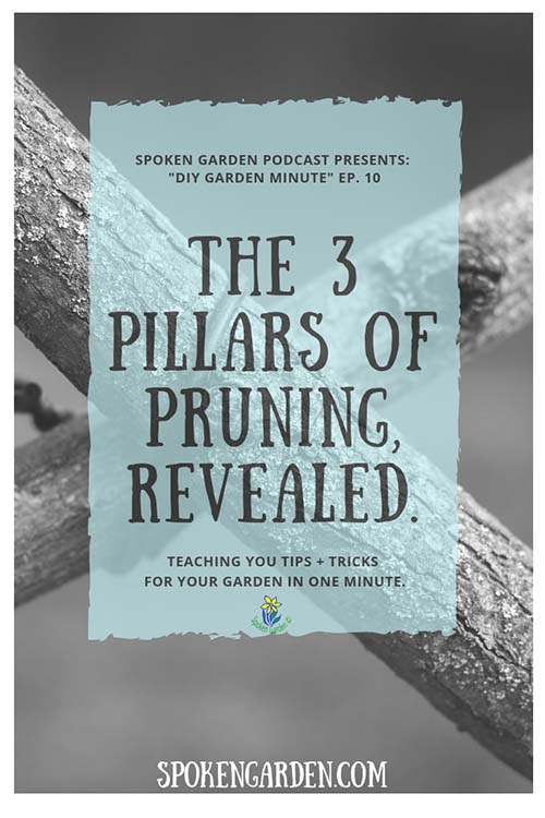 DIY garden minute ep10 3 Pillars of Pruning2