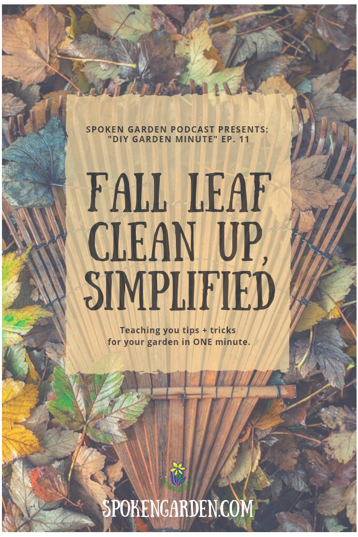 Ep. 11  Fall Leaf Clean Up Simplified.