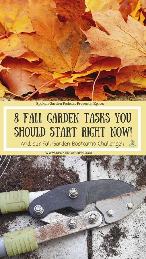 A pile of orange and yellow fall leaves and a pair of anvil pruning shears in Spoken Garden's podcast episode 22 advertisement
