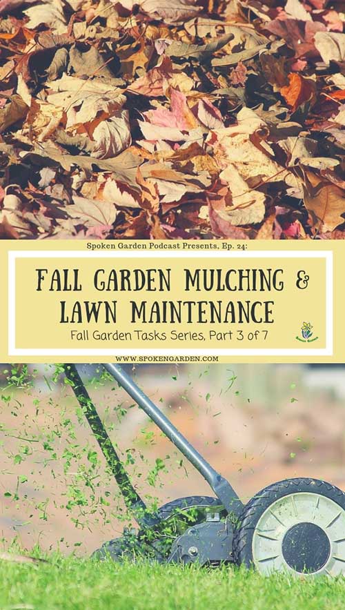 A pile of fall leaves used for mulching and a hand-powered lawn mower in Spoken Garden's "Fall Garden Mulching and Lawn Maintenance" podcast 24 advertisement.