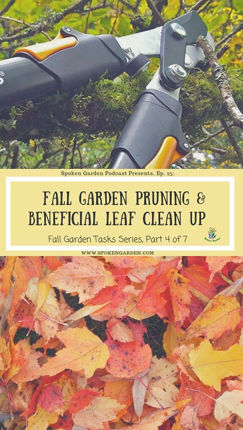 A pair of loppers cutting a branch and a pile of colorful leaves in Spoken Garden's "Fall Garden Pruning" podcast advertisement
