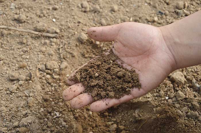 A hand picking up a mix of soil and fertilizer in Spoken Garden's "Top Fall Garden Tasks" post