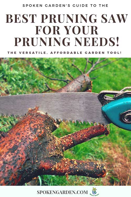 A hand saw cutting a dead section of a tree in Spoken Garden's "Best Pruning Saw for Any Gardener."