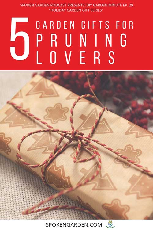 A long, wrapped present with a red and white bow around it as advertised in Spoken Garden's "5 Garden Gifts for Pruning Lovers" podcast. 