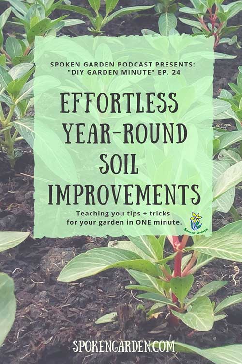 Several rows of plants are shown in garden soil in Spoken Garden's "Effortless Year-Round Soil Improvements" podcast advertisement