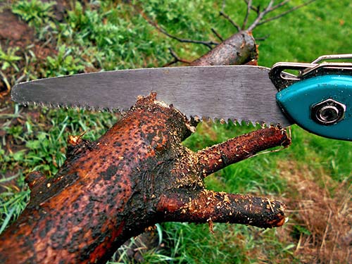 The best hand saw for pruning 