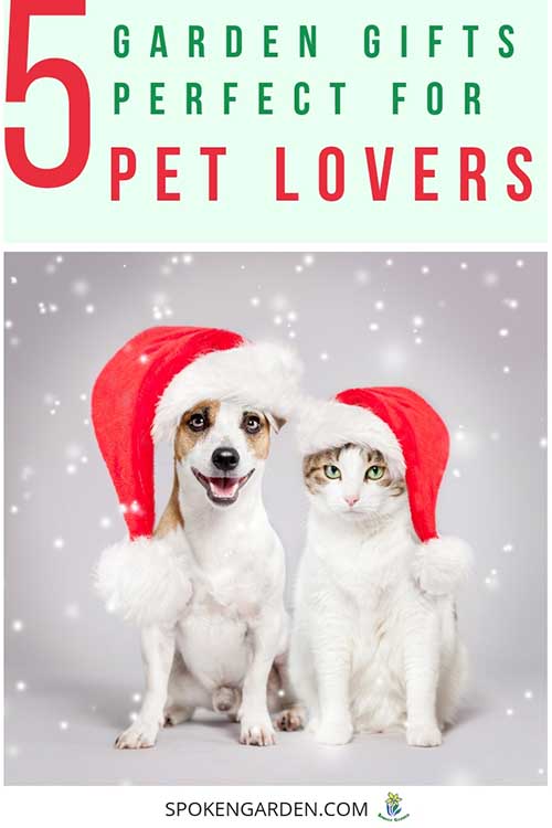 A dog and cat sit side by side wearing santa hats in Spoken Garden's "Holiday Gift Ideas for Pet Lovers" podcast