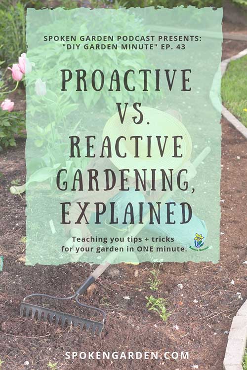 Ep. 43  Proactive vs. Reactive Gardening2