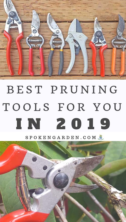 Spoken Garden's Best Pruning Tools for 2019