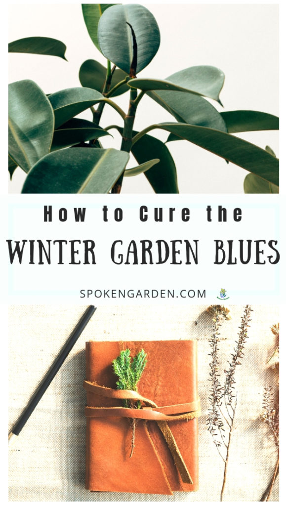 A houseplant and a journal advertised as 2 ways to beat the winter garden blues by Spoken Garden