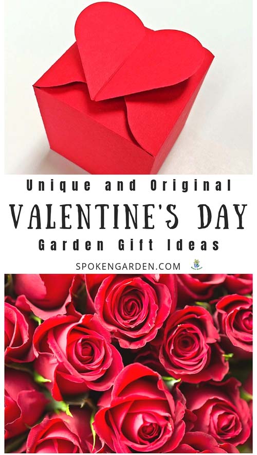 Red Valentine's day present and red roses with text overlay in Spoken Garden's podcast advertisement