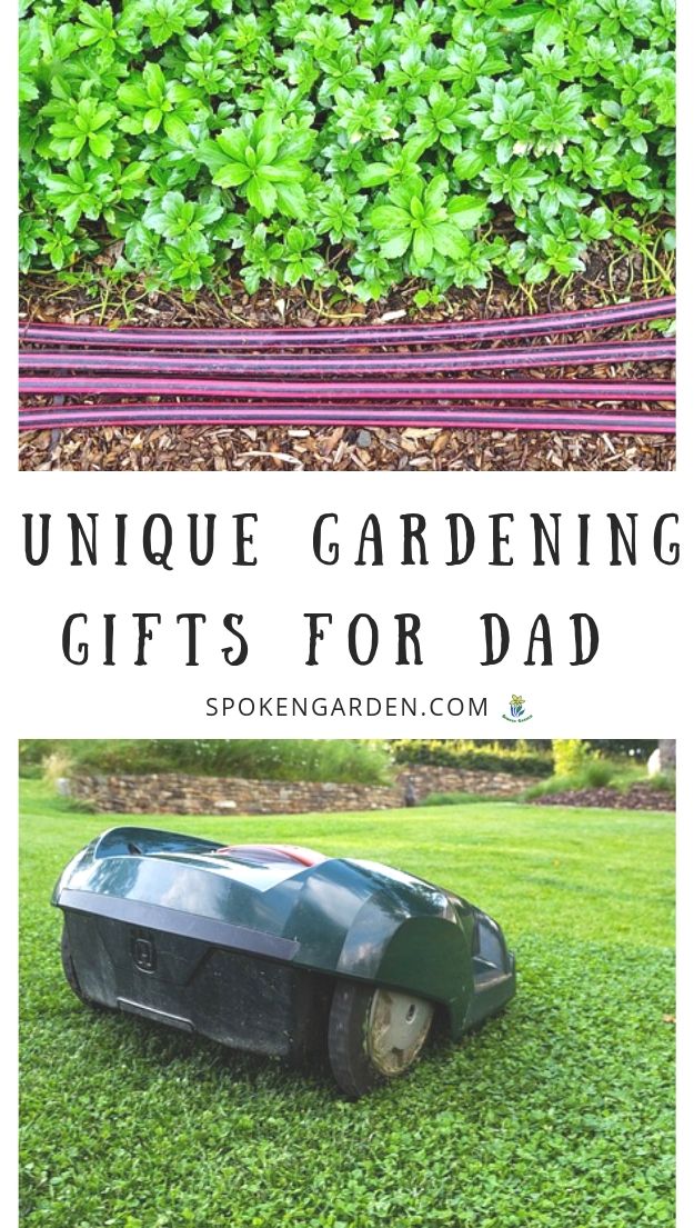 Garden hoses and mower in Spoken Garden's Gardening Gifts For Dad post