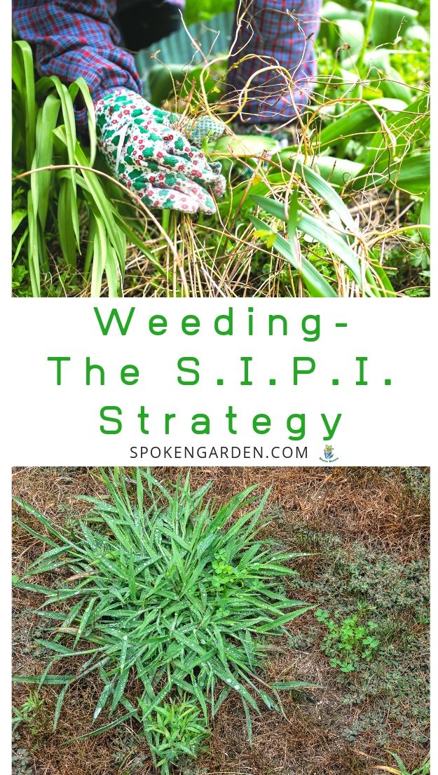 Pulling weeds with the SIPI strategy