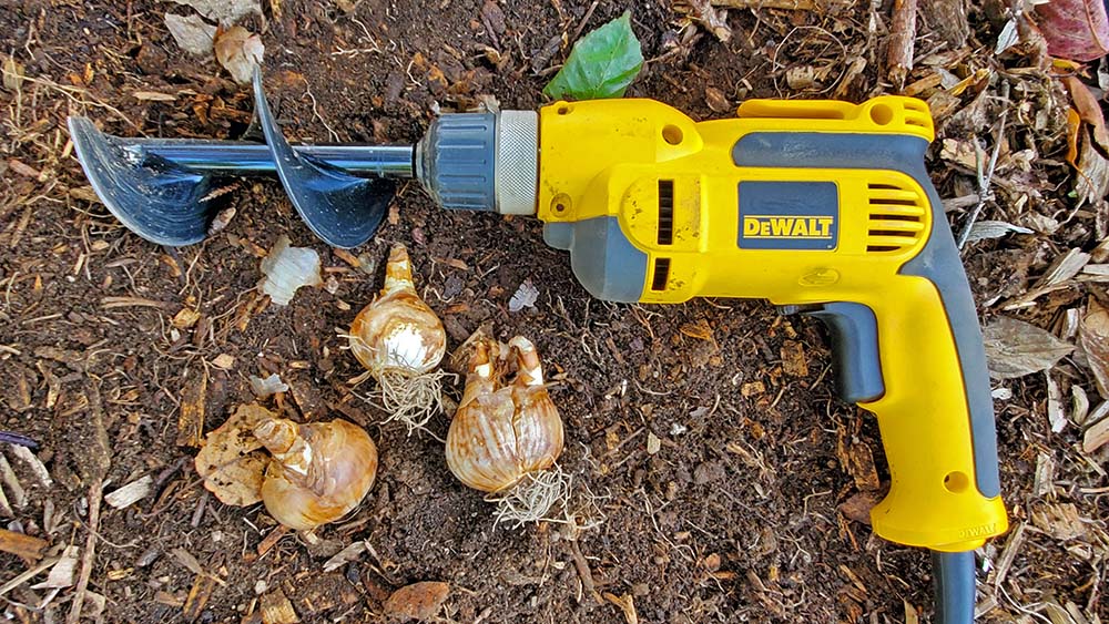 Planting bulbs with a bulb auger