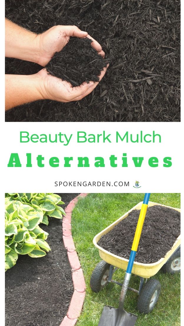 Beauty bark mulch and alternatives