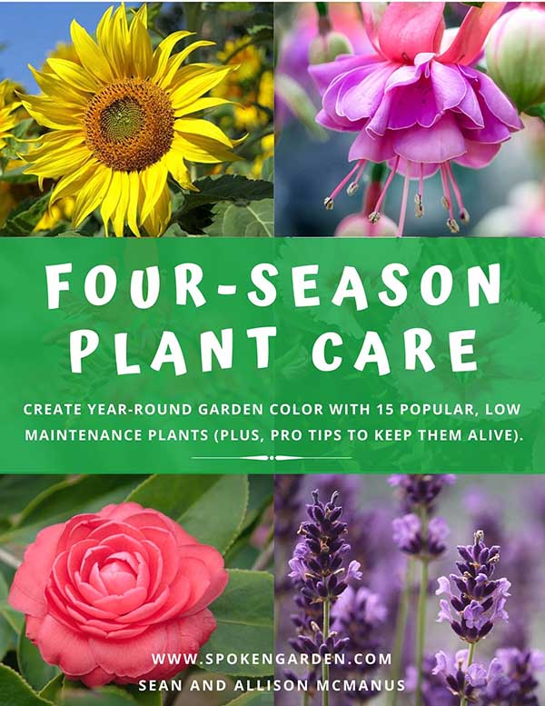 Four season plant care small