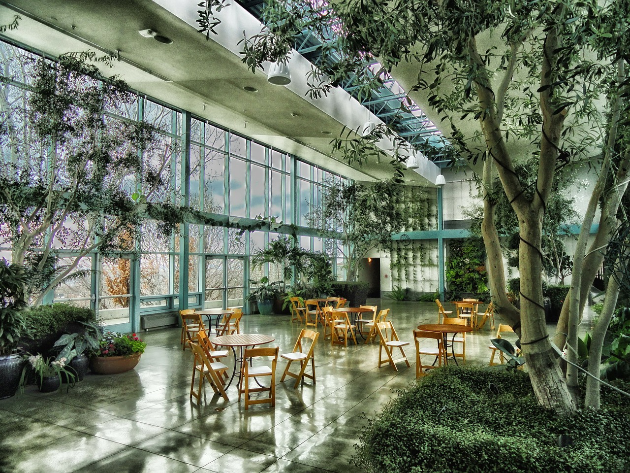 An open indoor area with tables and chairs surrounded by indoor raised garden beds filled with small shrubs and trees with a large window looking outside.