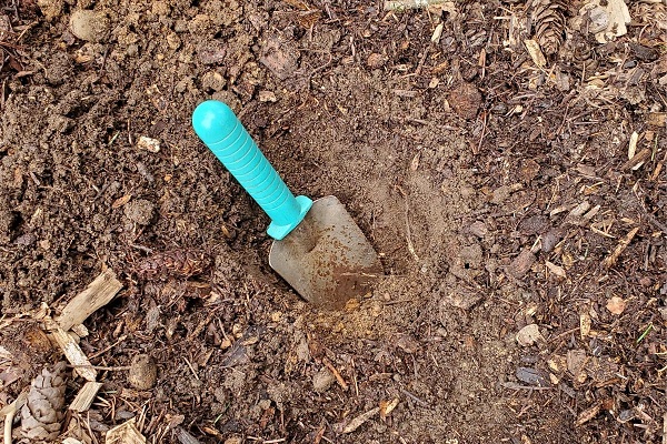 Small hole dug into the soil with blue-handled trowel to find soil texture