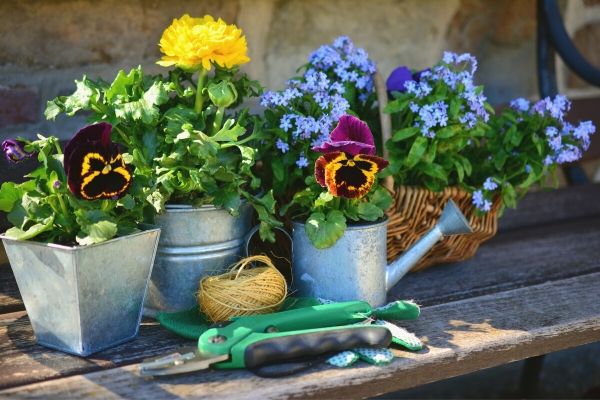 Making garden containers out of household items on a wooden tabletop