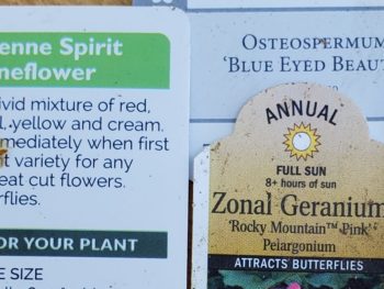 three different plant tags from their pots telling what their specific names are.
