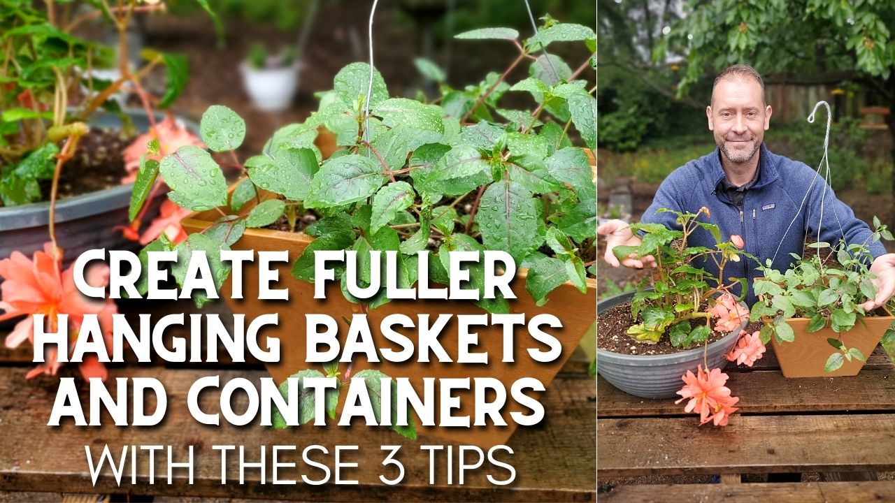how to make hanging baskets look full
