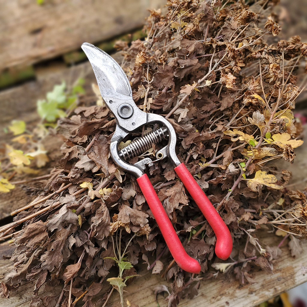 Smart Pruning Basics free course