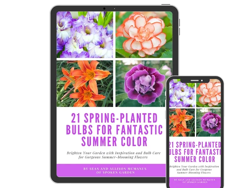 Our eBook to Give Spring-Planted Bulb Inspo!