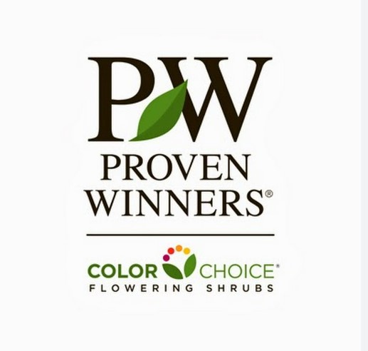 Proven Winners Color Choice Shrubs Logo