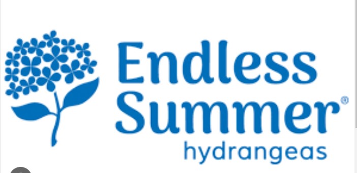 Endless Summer Hydrangeas Logo