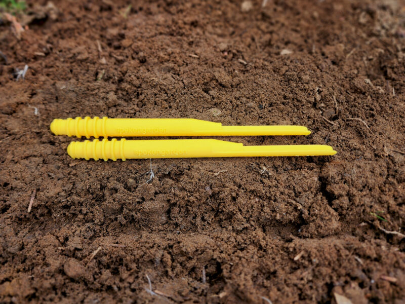 Yellow Little Dibby Double Pack in garden soil laying next to each other.