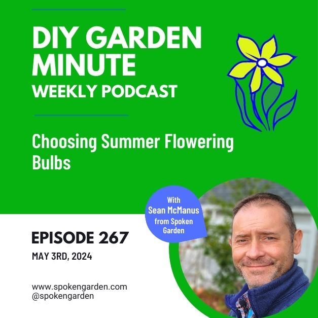 How to Choose Summer Flowering Bulbs Podcast Episode
