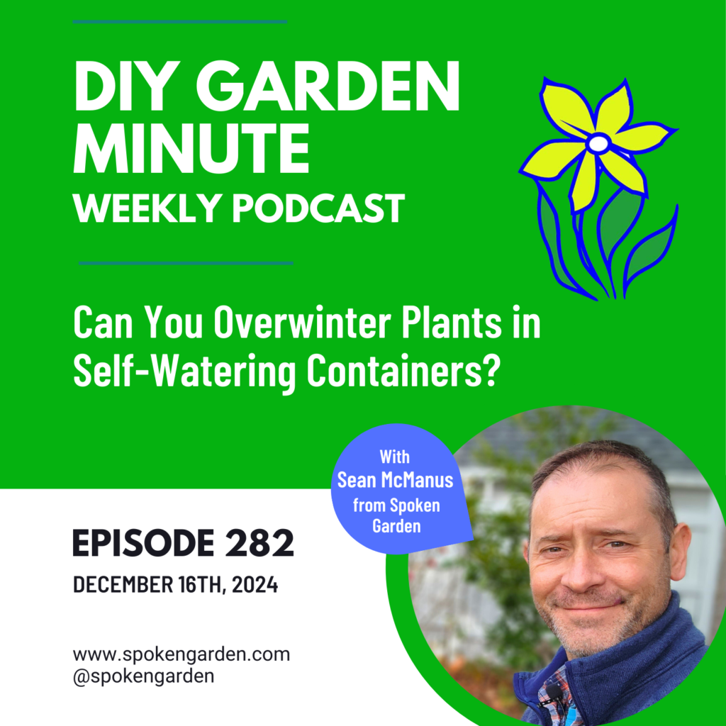 Can You Overwinter Plants in Self Watering Containers?