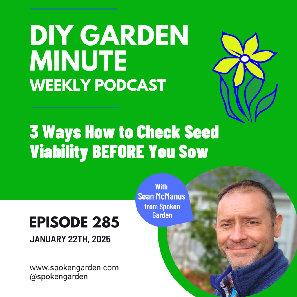 3 Ways How to Check Seed Viability BEFORE You Sow DIY Garden Minute