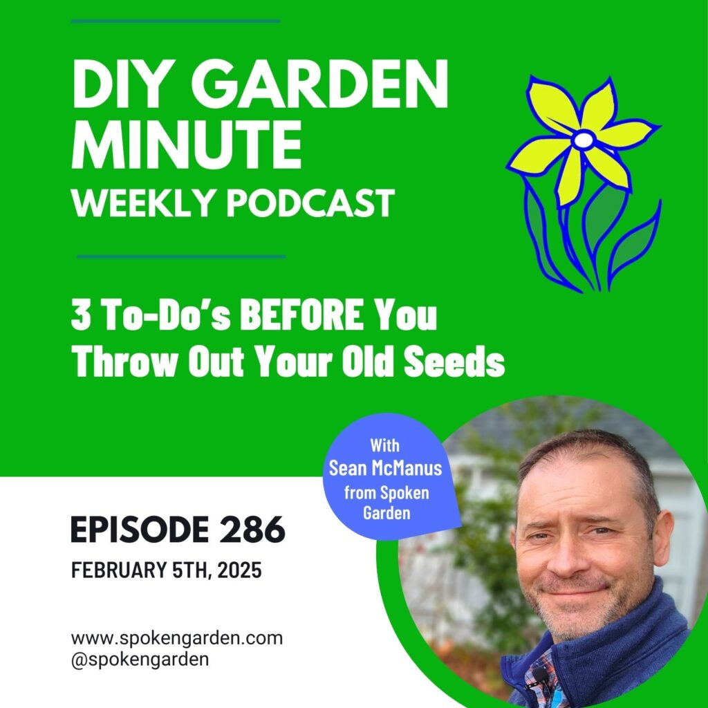 3 To Dos BEFORE You Throw Out Your Old Seeds DIY Garden Minute